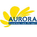 Suport Aurora Flowers RO